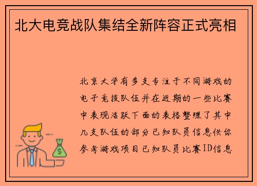 北大电竞战队集结全新阵容正式亮相